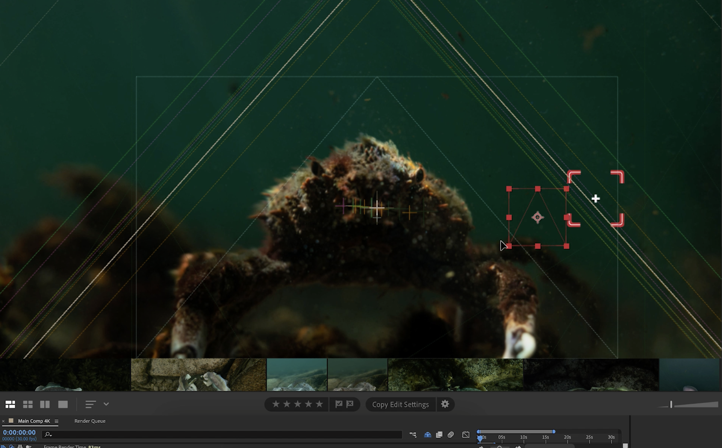 Palx parallax-effect still frame from an underwater photograph — Matt Bagley