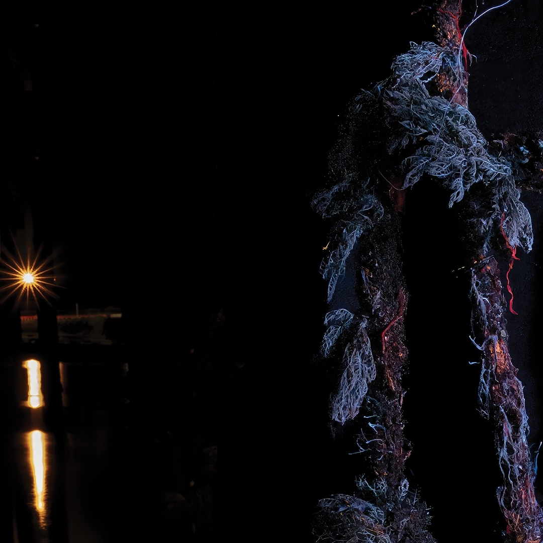 Three bottles reclaimed by fluorescing marine growth under UV light, San Remo, Victoria — Matt Bagley