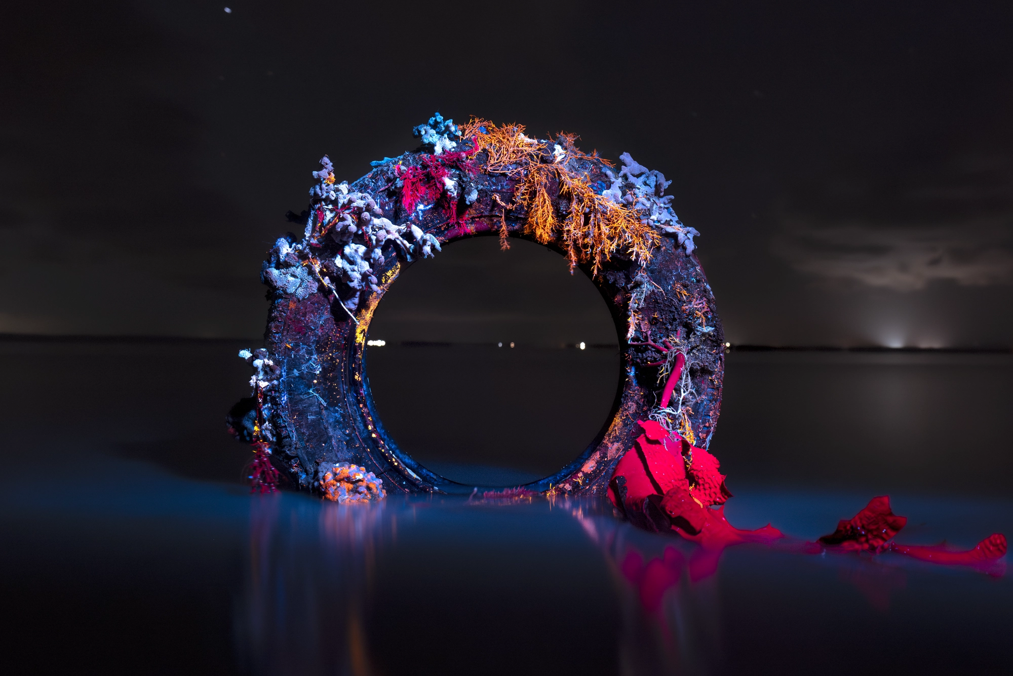 Tyre reclaimed by fluorescing marine growth under UV light, landscape view, San Remo, Victoria — Matt Bagley
